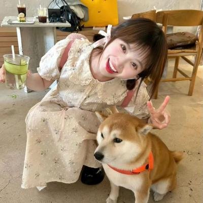 野猫痴情